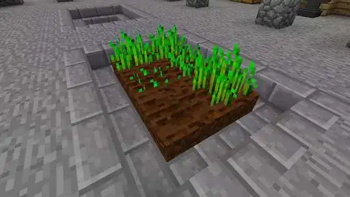 Play Garden Stuff Mods  and enjoy Garden Stuff Mods with UptoPlay