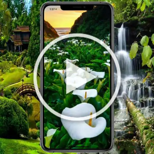 Play Garden Video Live Wallpaper HD APK