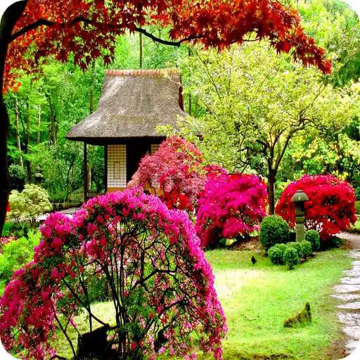 Play Garden Wallpaper HD/3D APK Play Garden Wallpaper HD/3D APK