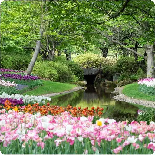 Play Garden Wallpaper Puzzle/Bubble/Chess/Sudoku Games APK
