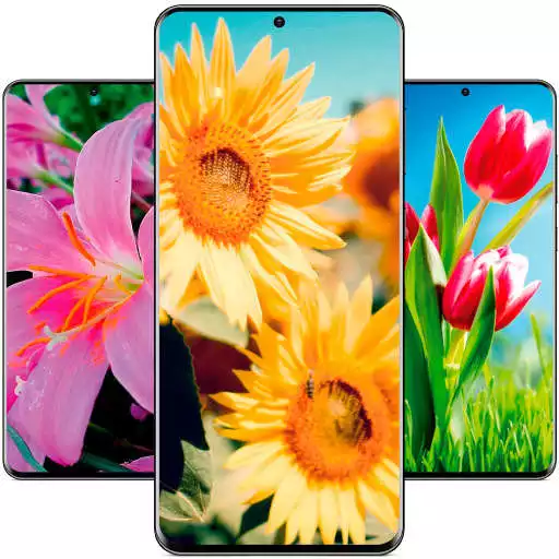 Play Garden Wallpapers Full HD / 4K APK Play Garden Wallpapers Full HD / 4K APK