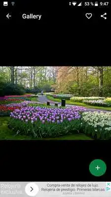 Play Garden Wallpapers HD