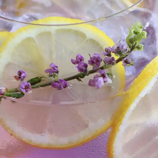 Play Garnish - Cocktail Recipes APK Play Garnish - Cocktail Recipes APK
