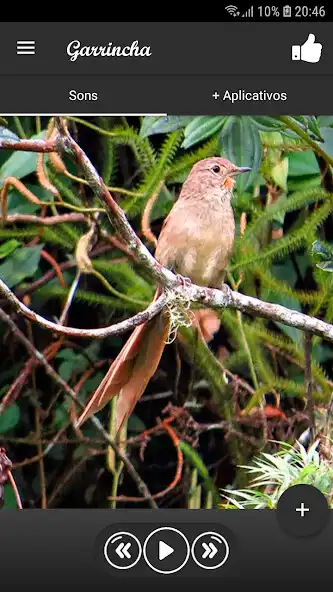 Play Garrincha  and enjoy Garrincha with UptoPlay