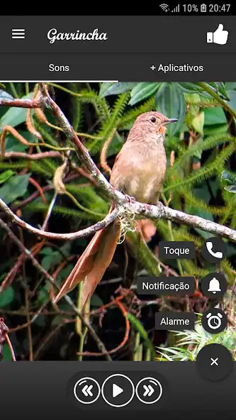 Play Garrincha as an online game Garrincha with UptoPlay