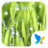 Free play online Gass dew APK Free play online Gass dew APK