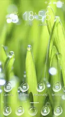 Play Gass dew