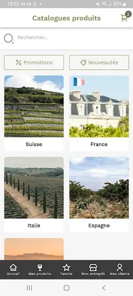 Play Gastro Wine as an online game Gastro Wine with UptoPlay