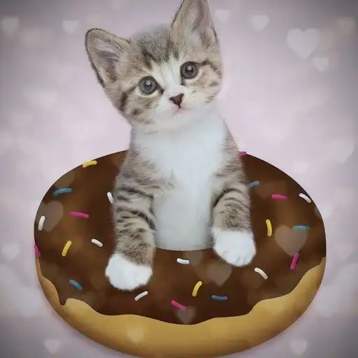 Play gatos maullando APK