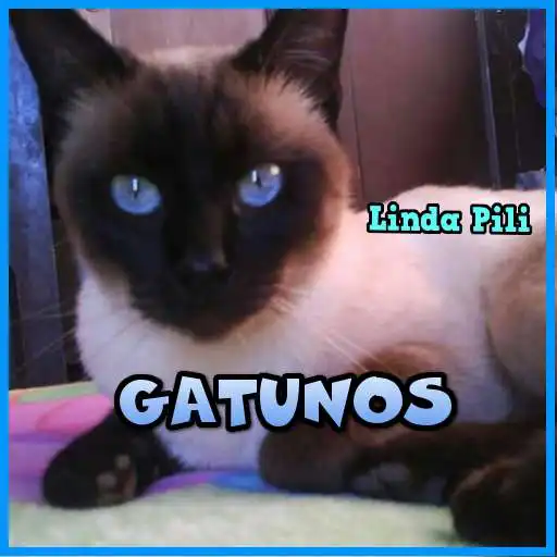 Play Gatunos... APK Play Gatunos... APK