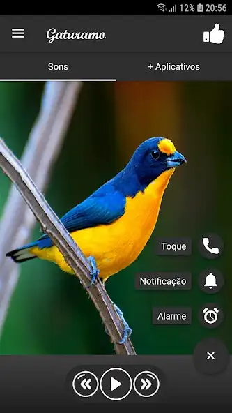 Play Gaturamo as an online game Gaturamo with UptoPlay