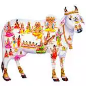 Free play online Gau Seva APK