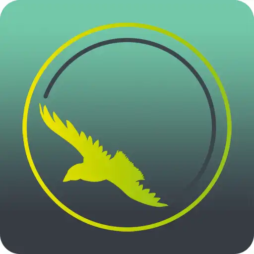 Play Gavilán Control APK Play Gavilán Control APK