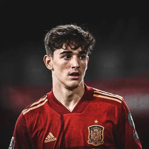 Play Gavi Wallpapers 4k 2023 APK