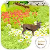 Free play online Gazelle Simulation APK Free play online Gazelle Simulation APK