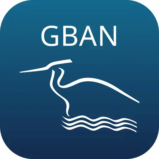 Play GBAN APK
