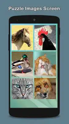 Play gBanj Image Puzzle