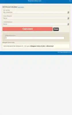 Play GCS Score Calculator