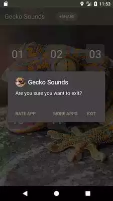 Play Gecko (Animal) Sounds