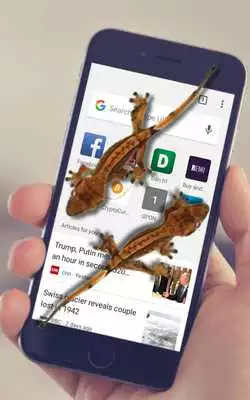 Play Gecko In Phone Scary Joke - Funny Joke