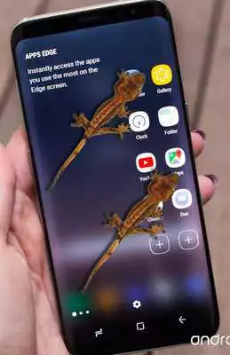 Play Gecko In Phone Scary Joke - Funny Joke