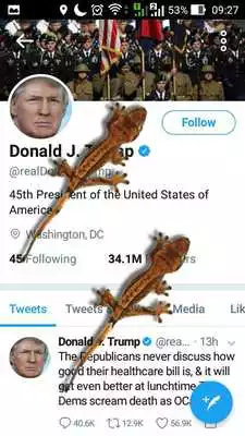 Play Gecko In Phone Scary Joke - Funny Joke