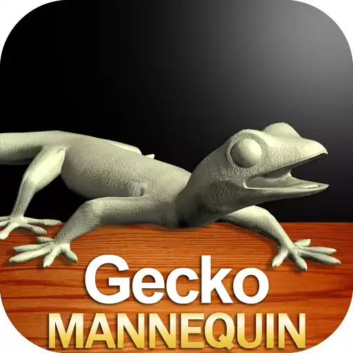 Free play online Gecko Mannequin APK