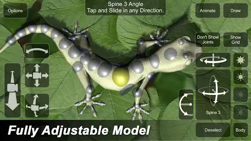 Play Gecko Mannequin