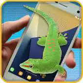 Free play online Gecko On Screen APK Free play online Gecko On Screen APK