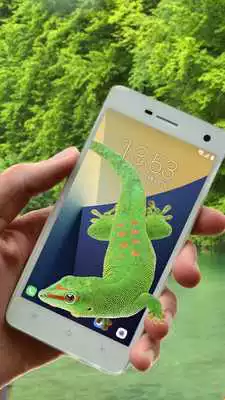 Play Gecko On Screen