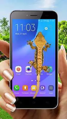 Play Gecko On Screen