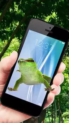 Play Gecko On Screen