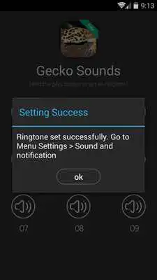 Play Gecko Sounds