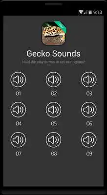 Play Gecko Sounds