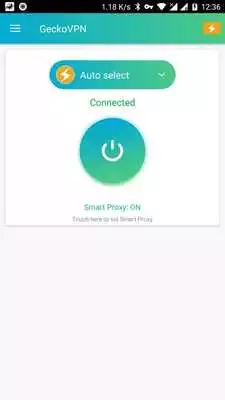 Play GeckoVPN