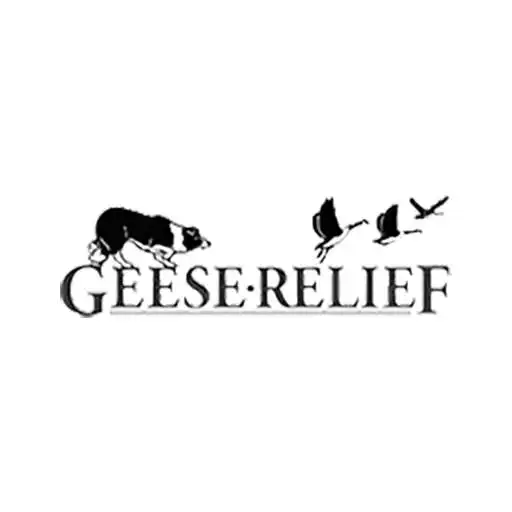 Free play online Geese Relief APK