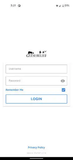 Play Geese Relief Play Geese Relief