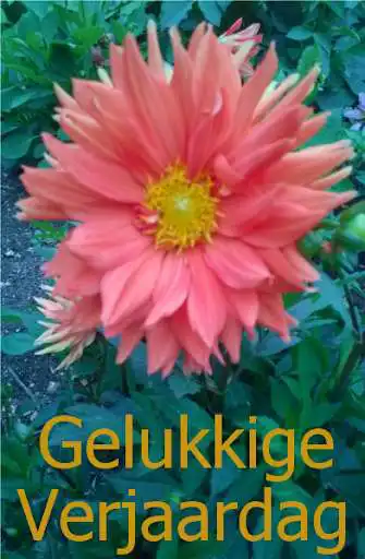 Play Gelukkige verjaardag as an online game Gelukkige verjaardag with UptoPlay