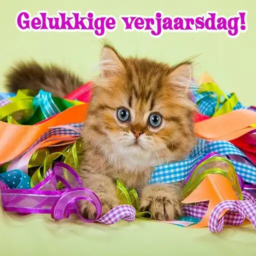 Play Gelukkige verjaarsdag Beelde APK