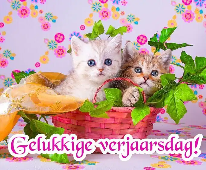 Play Gelukkige verjaarsdag Beelde as an online game Gelukkige verjaarsdag Beelde with UptoPlay