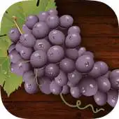 Free play online Gencarellis APK Free play online Gencarellis APK