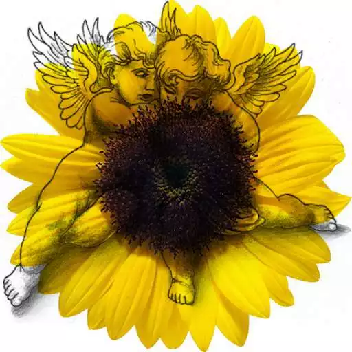 Play Genealogical tree 3D APK