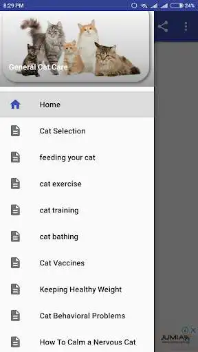 Play General Cat Care  and enjoy General Cat Care with UptoPlay