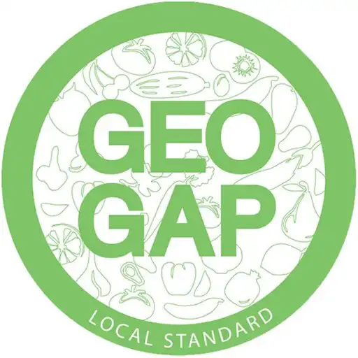 Play GeoGap APK