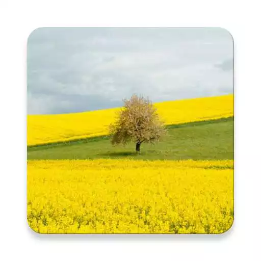 Free play online Geography APK