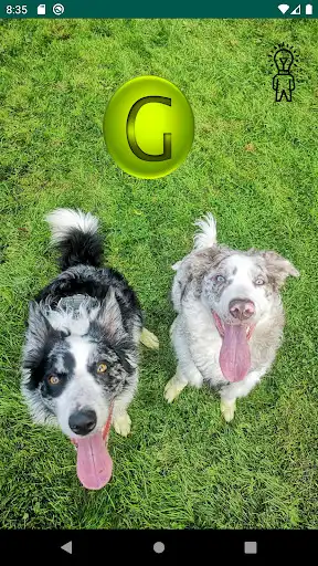 Play Geokrizago- GC8GZXX as an online game online Geokrizago- GC8GZXX with UptoPlay krizago.com Play Geokrizago- GC8GZXX as an online game Geokrizago- GC8GZXX with UptoPlay