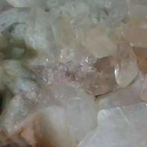 Run free android online Geology of India APK