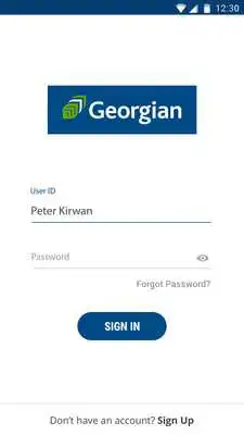 Play Georgian Assist