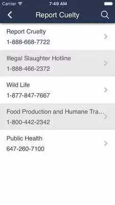 Play Georgian Triangle H.S