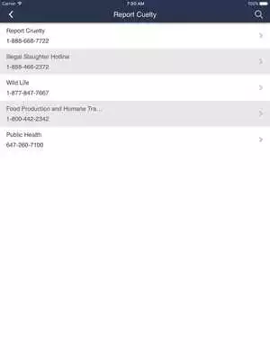 Play Georgian Triangle H.S